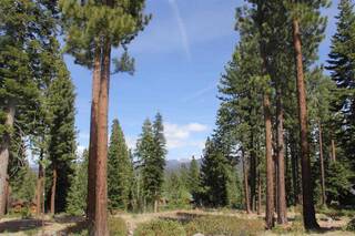 Listing Image 1 for 2302 Overlook Place, Truckee, CA 96161
