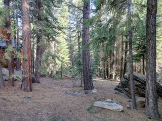 Listing Image 1 for 10534 Whiskey Jack Court, Truckee, CA 96161