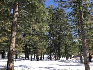 Listing Image 1 for 11711 Coburn Drive, Truckee, CA 96161