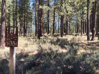 Listing Image 1 for 11486 Henness Road, Truckee, CA 96161