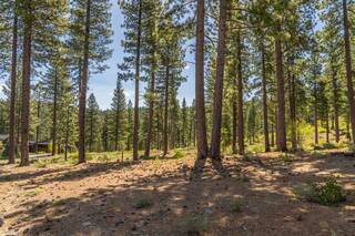 Listing Image 1 for 453 Corner Lot Newhall Court, Truckee, CA 96161