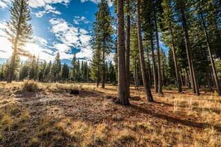 Listing Image 1 for 9541 Dunsmuir Way, Truckee, CA 96161