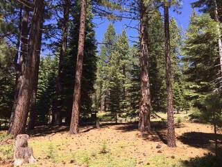 Listing Image 1 for 12438 Granite Drive, Truckee, CA 96161