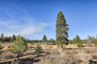 Listing Image 7 for 13185 Snowshoe Thompson, Truckee, CA 96161