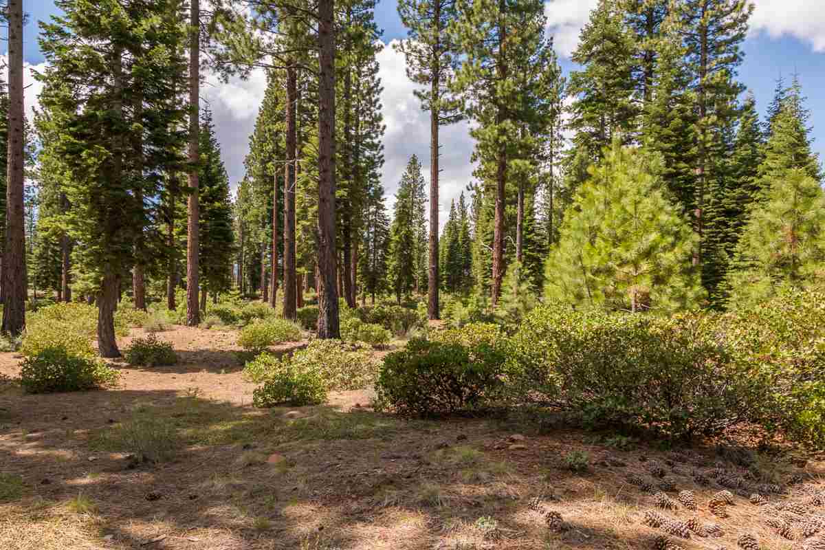 Image for 8680 Huntington Court, Truckee, CA 96161