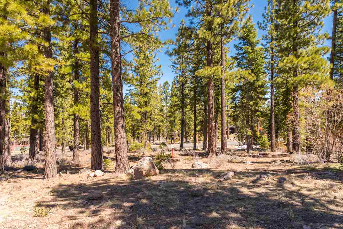 Image for 8406 Newhall Drive, Truckee, CA 96161