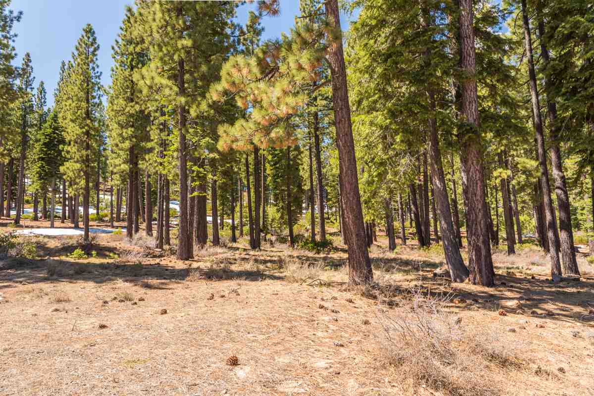 Image for Lot 428 Hunter House Drive, Truckee, CA 96162