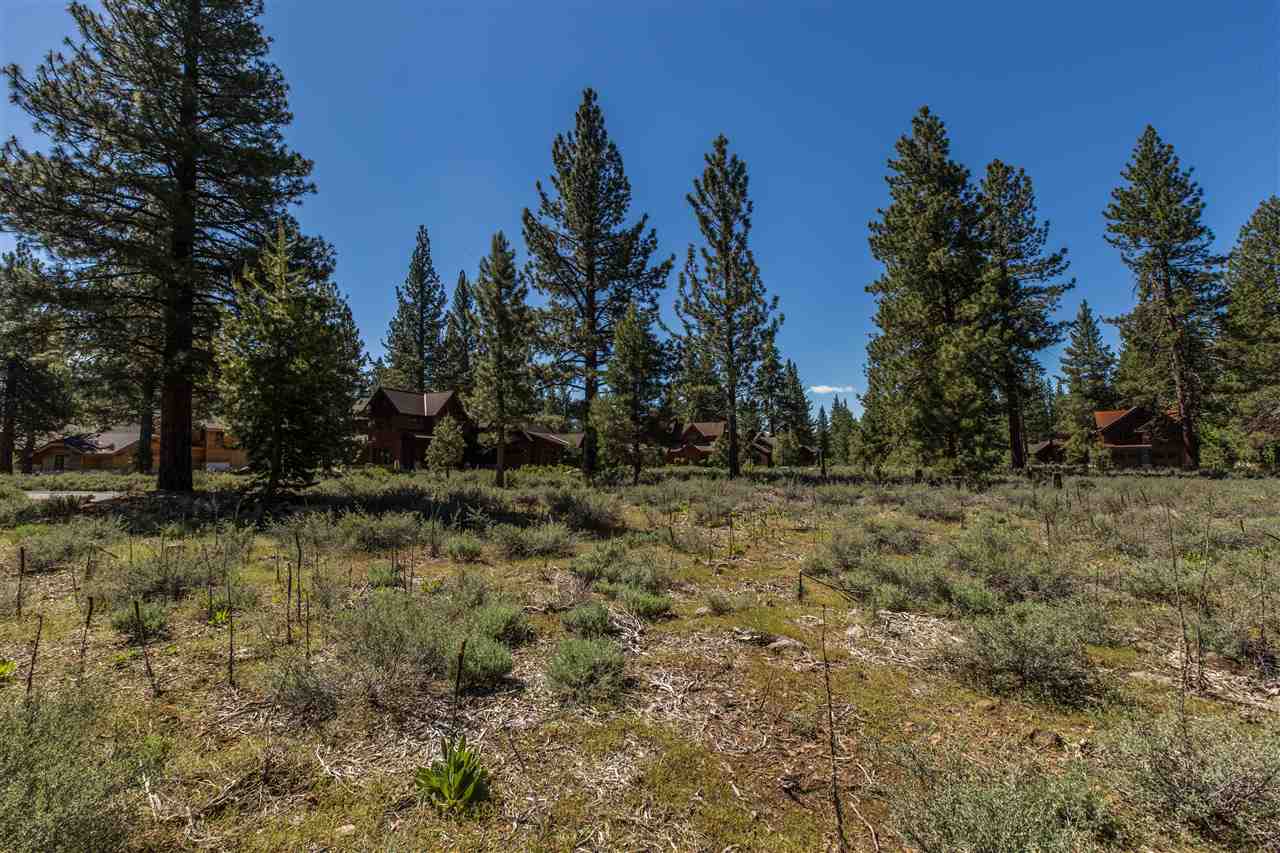 Image for 12506 Caleb Drive, Truckee, CA 96161