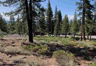 Listing Image 1 for 11636 Coburn Drive, Truckee, CA 96161