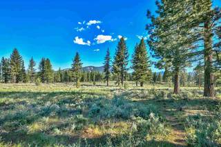 Listing Image 5 for 9701 Highway 267, Truckee, CA 96161