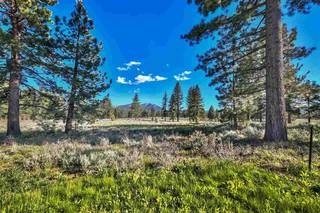 Listing Image 6 for 9701 Highway 267, Truckee, CA 96161