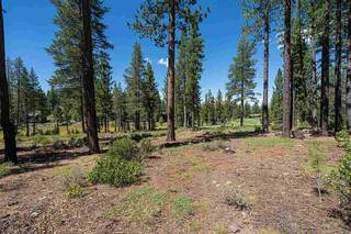 Listing Image 12 for 7075 Lahontan Drive, Truckee, CA 96161