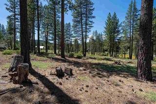 Listing Image 14 for 7075 Lahontan Drive, Truckee, CA 96161