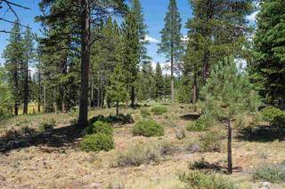 Listing Image 7 for 7075 Lahontan Drive, Truckee, CA 96161