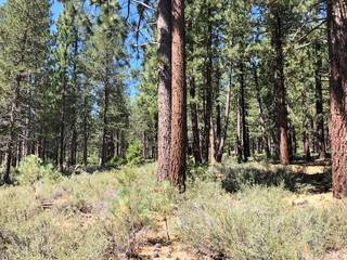 Listing Image 6 for 11580 Ghirard Road, Truckee, CA 96161-2152