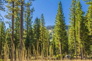 Listing Image 1 for 9535 Dunsmuir Way, Truckee, CA 96161