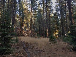 Listing Image 1 for 10511 Northwoods Boulevard, Truckee, CA 96161