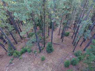 Listing Image 3 for 10511 Northwoods Boulevard, Truckee, CA 96161