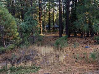Listing Image 5 for 10511 Northwoods Boulevard, Truckee, CA 96161