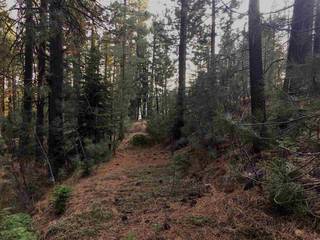 Listing Image 7 for 10511 Northwoods Boulevard, Truckee, CA 96161