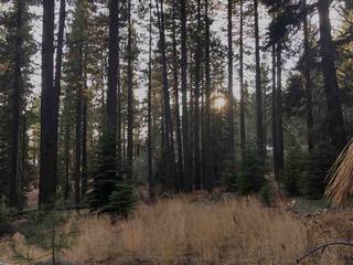 Listing Image 8 for 10511 Northwoods Boulevard, Truckee, CA 96161
