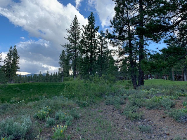Image for 9233 Heartwood Drive, Truckee, CA 96161