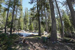 Listing Image 1 for 21302 Donner Drive, Soda Springs, CA 95728