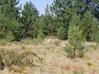 Listing Image 1 for 11883 Old Mill Road, Truckee, CA 96161