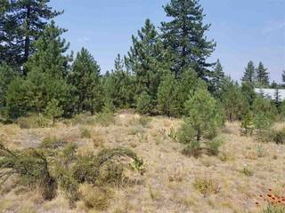 Listing Image 3 for 11883 Old Mill Road, Truckee, CA 96161
