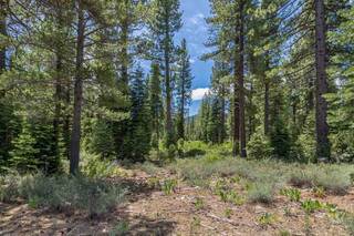Listing Image 1 for 8210 Olana Court, Truckee, CA 96161