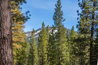 Listing Image 2 for 8507 Wellcroft Court, Truckee, CA 96161