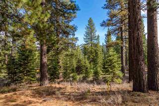 Listing Image 3 for 8507 Wellcroft Court, Truckee, CA 96161