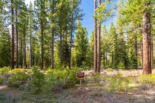 Listing Image 4 for 8507 Wellcroft Court, Truckee, CA 96161