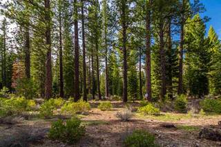 Listing Image 7 for 8507 Wellcroft Court, Truckee, CA 96161