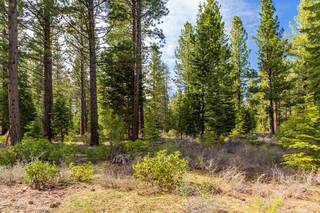 Listing Image 8 for 8507 Wellcroft Court, Truckee, CA 96161