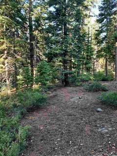 Listing Image 1 for Lot 85 Old County Road, Carnelian Bay, CA 96140