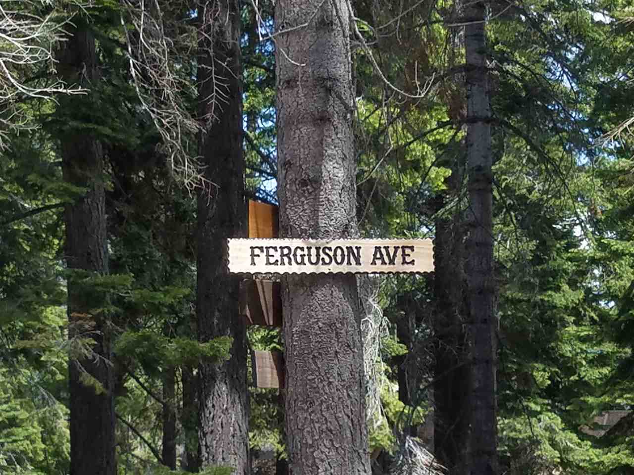 Image for Lot 38 Ferguson Avenue, Cedar Flat, CA 96140