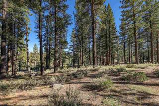 Listing Image 2 for 10576 Brickell Court, Truckee, CA 96161