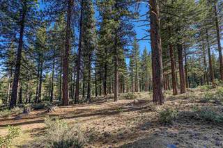 Listing Image 10 for 10576 Brickell Court, Truckee, CA 96161