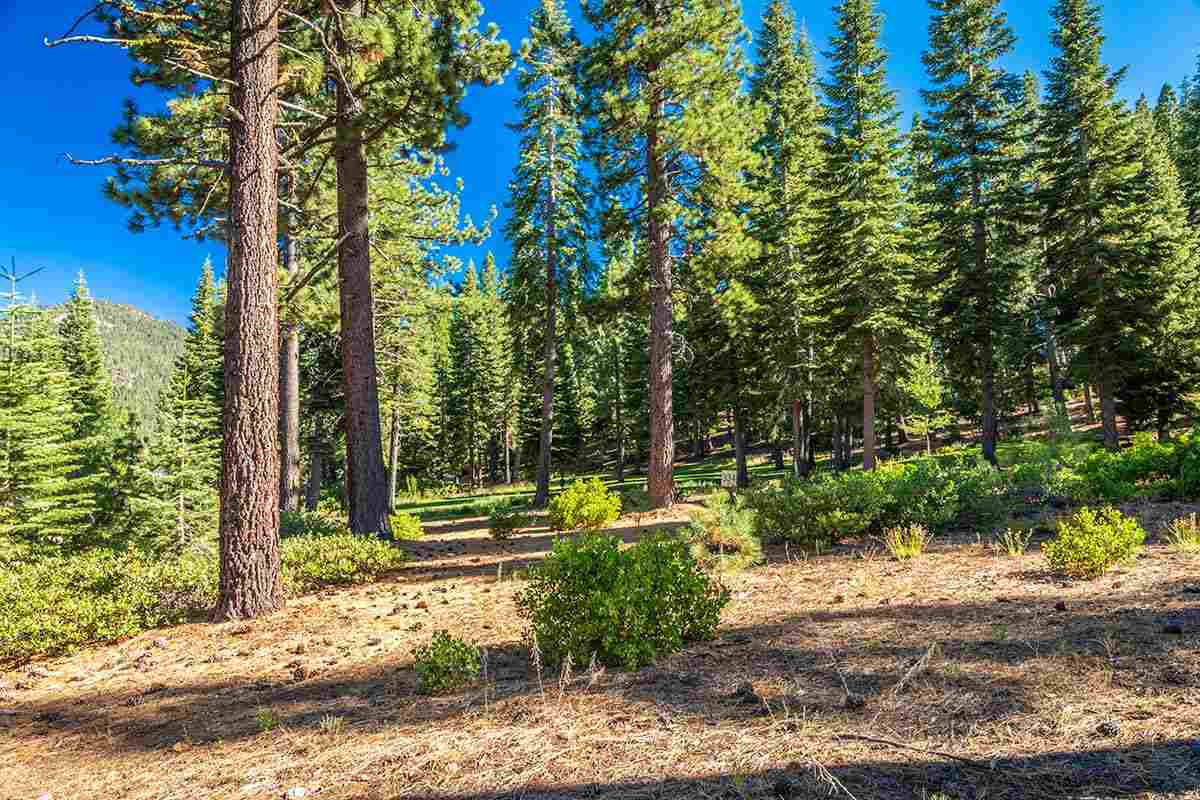 Image for 10580 Glenbrook Court, Truckee, CA 96161