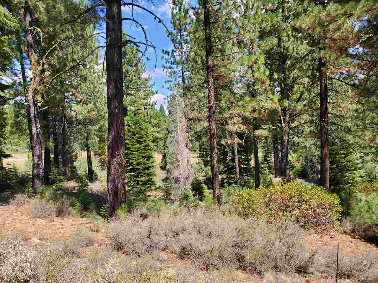 Image for 11101 China Camp Road, Truckee, CA 96161-0000