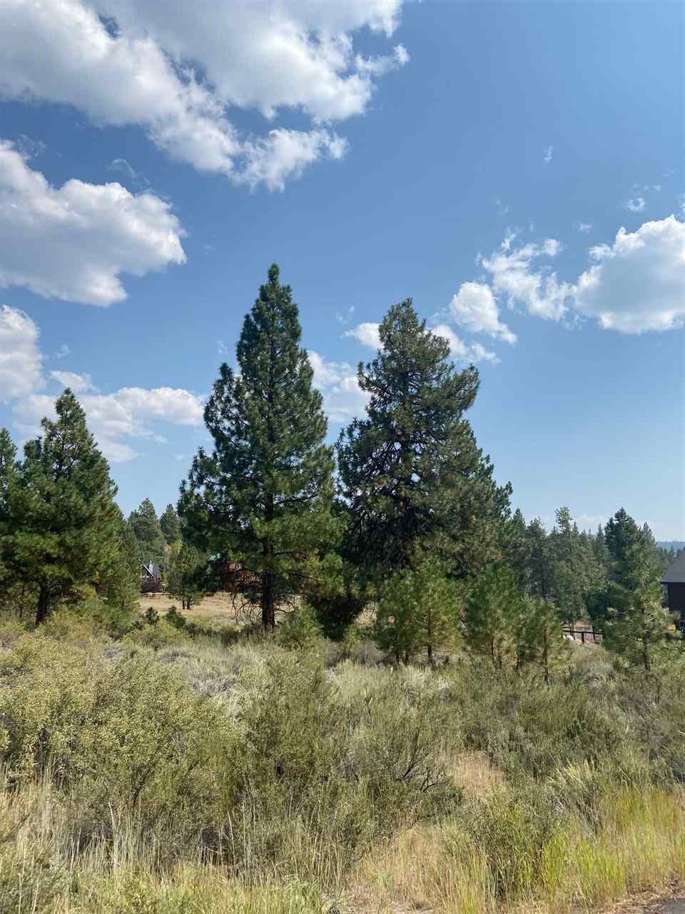 Image for 10745 Allenby Way, Truckee, CA 96161