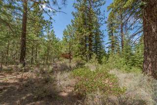 Listing Image 13 for 10336 Palisades Drive, Truckee, CA 96161