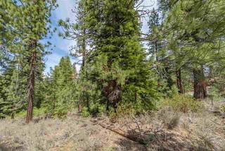Listing Image 15 for 10336 Palisades Drive, Truckee, CA 96161