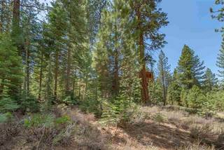 Listing Image 16 for 10336 Palisades Drive, Truckee, CA 96161