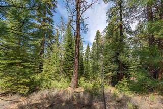 Listing Image 20 for 10336 Palisades Drive, Truckee, CA 96161