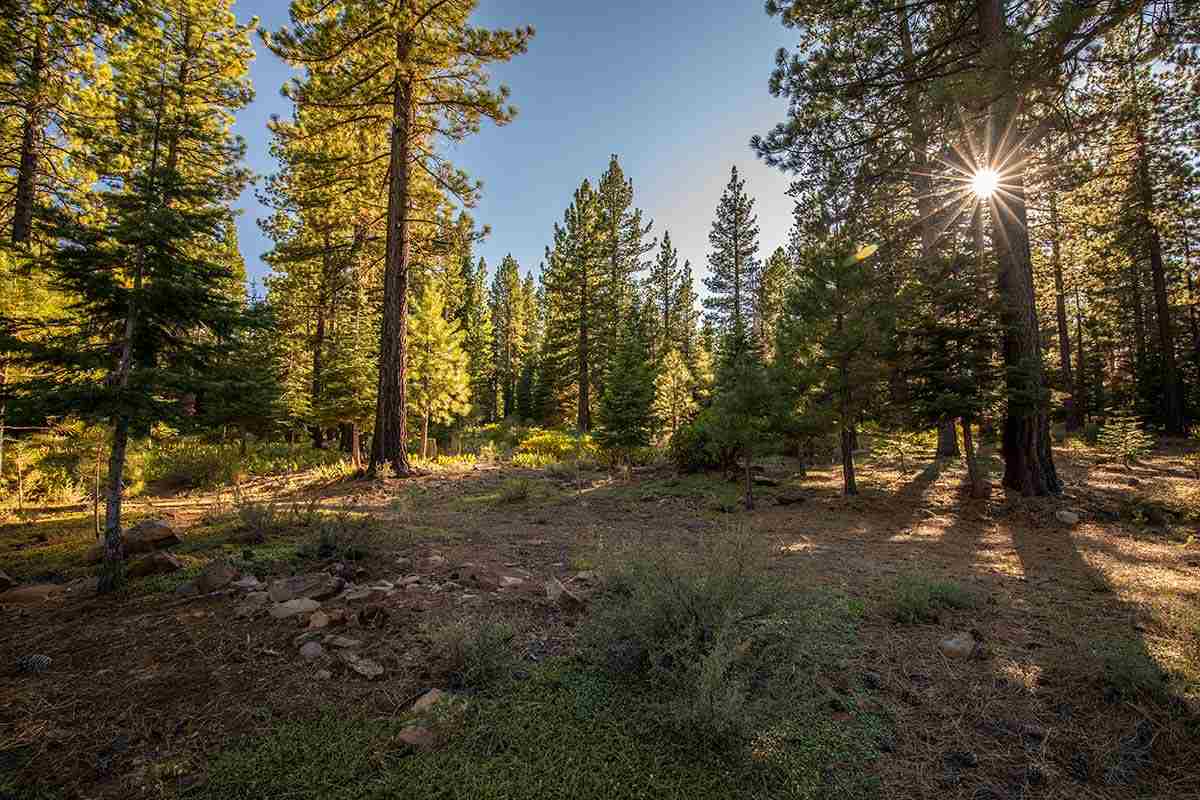 Image for 12228 Pete Alvertson Drive, Truckee, CA 96161