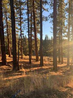 Listing Image 1 for 16397 Lance Drive, Truckee, CA 96161