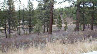 Listing Image 8 for 10700 Winchester Court, Truckee, CA 96161