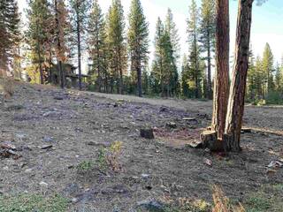 Listing Image 11 for 8641 Lloyd Tevis, Truckee, CA 96161